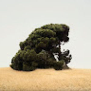 Meet your Posher, Alexander